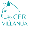 CER Villanúa